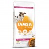 iams-dog-senior-small-medium-chicken-12kg