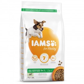 iams-dog-adult-small-medium-lamb-3kg