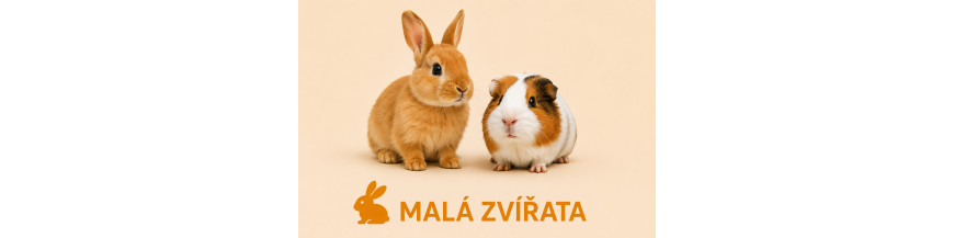 Malá zvířata