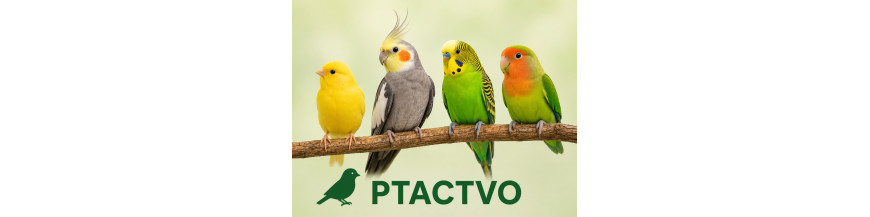 Ptactvo