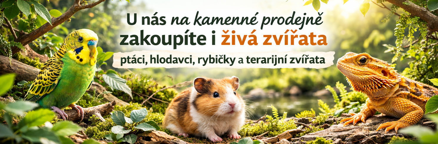 Kamenn&yacute; obchod