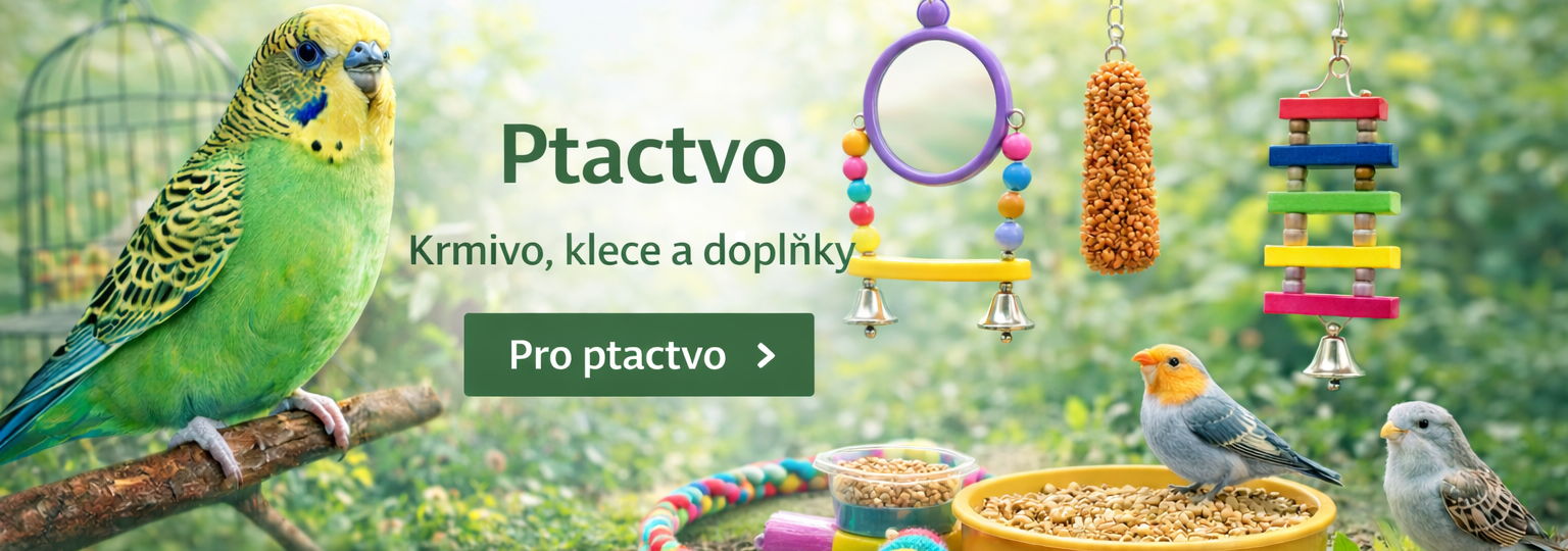 ptactvo