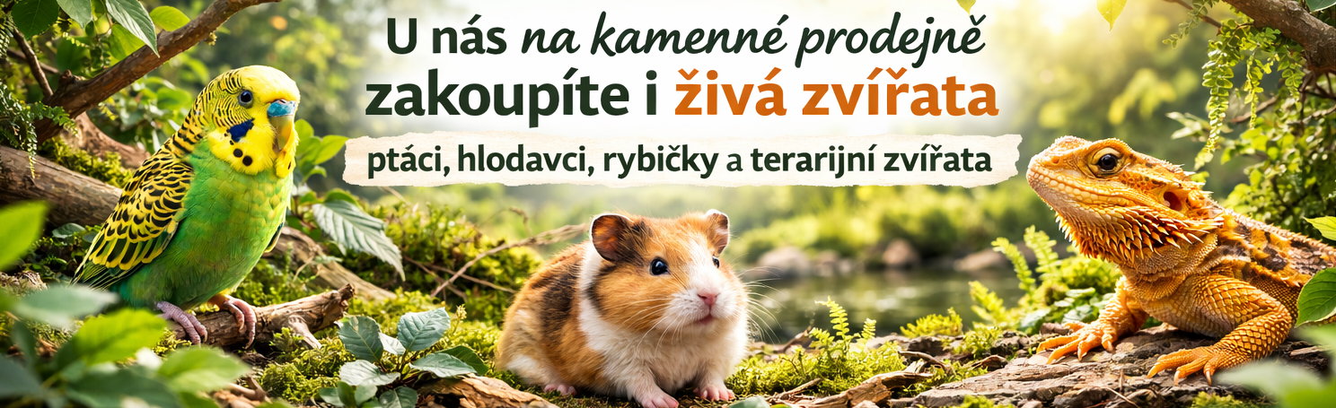 Kamenn&yacute; obchod