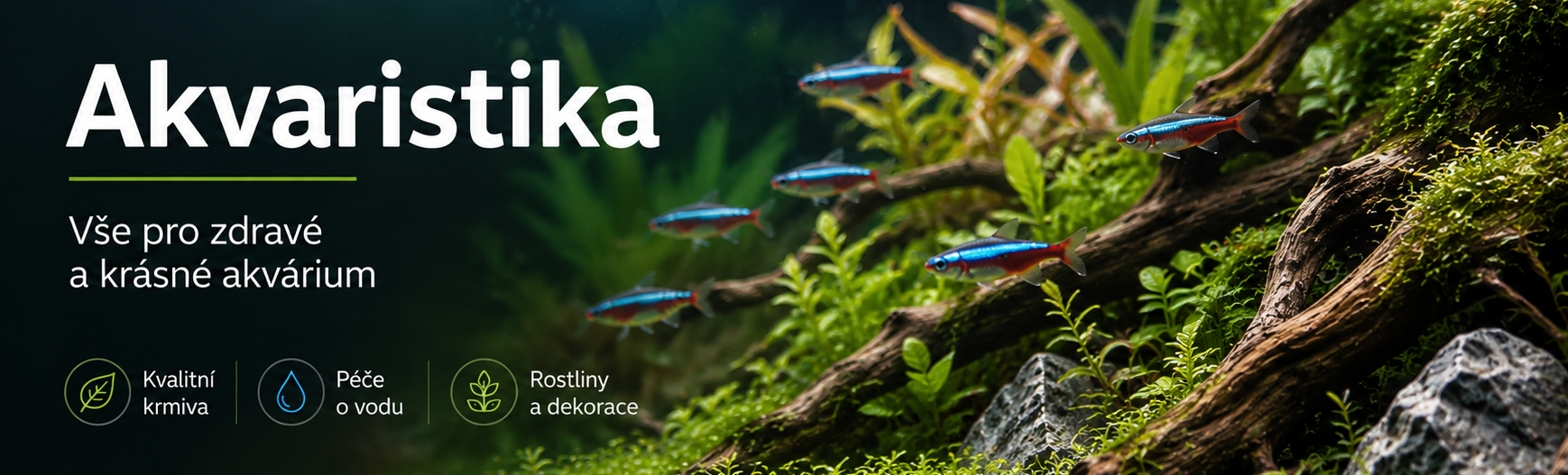 Akvaristika