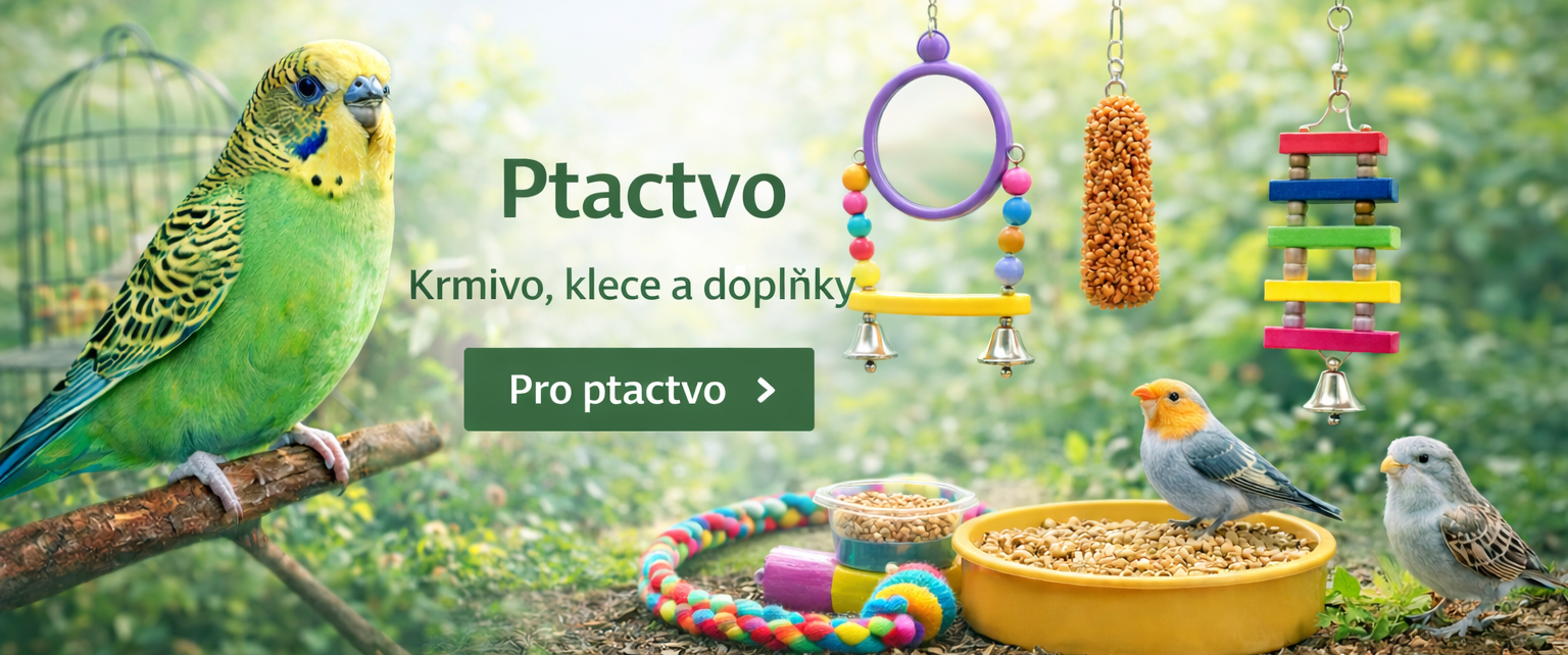 ptactvo